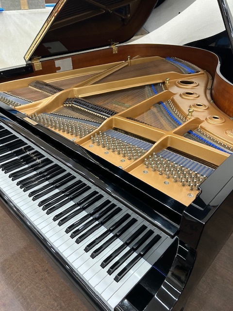 K. Kawai KG-3C グランドピアノ 株式会社ピアノプラザ | KAWAI KG-3D(1568)
