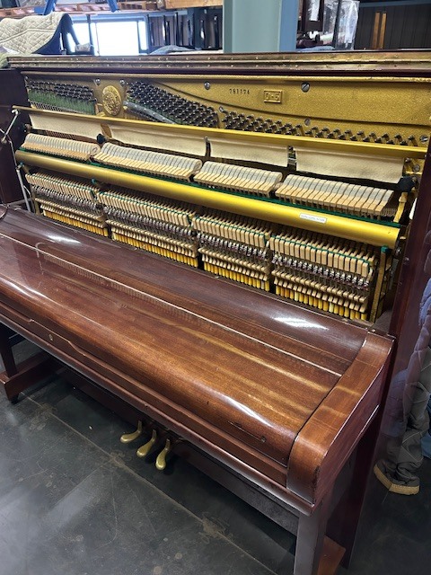 erard-d5w-03