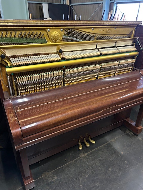 erard-d5w-04